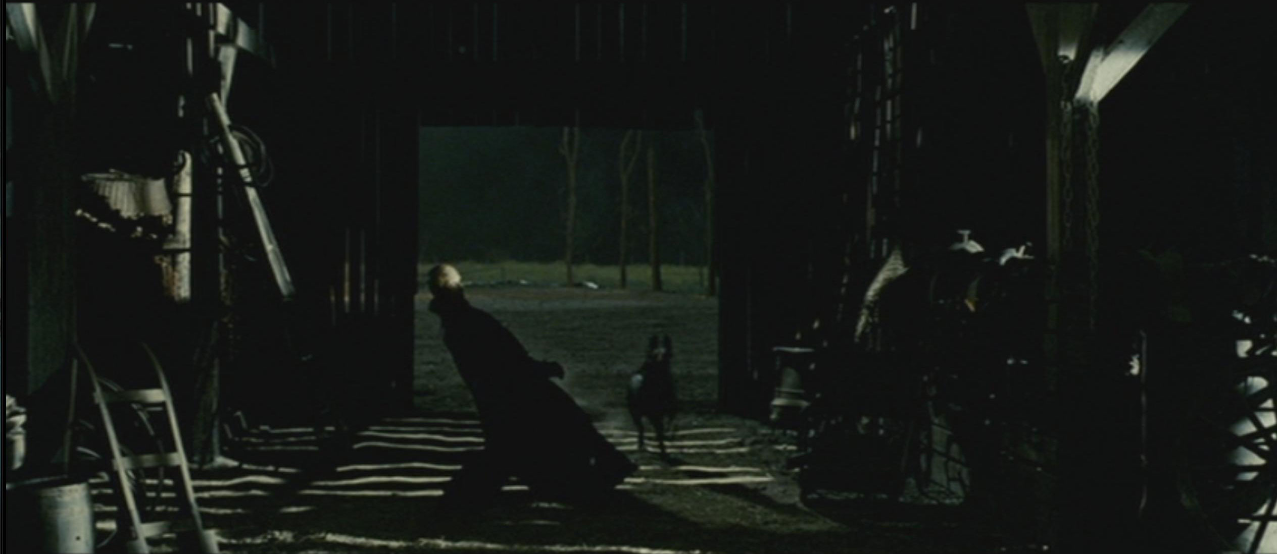 Blood Creek