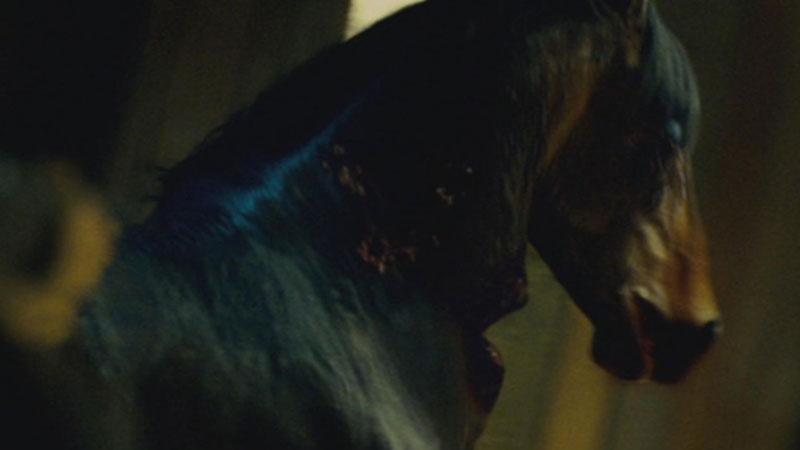 michael fassbender blood creek